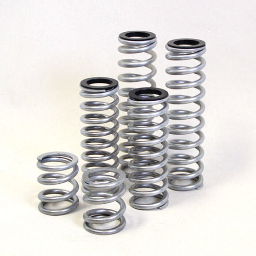 Dual Rate Springs Kit | Polaris RZR 900 Trail 50 Inch