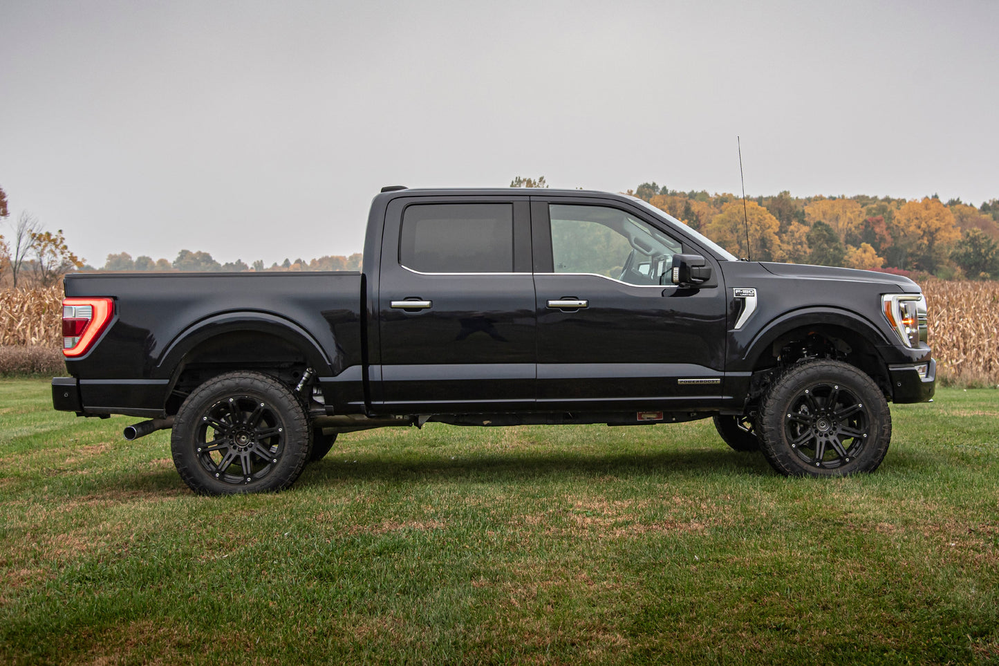 4 Inch Lift Kit | FOX 2.0 Strut | Ford F150 (21-25) 4WD